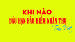 đáo-hạn-hợp-đồng-bảo-hiểm-nhân-thọ