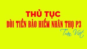 thủ-tục-chi-trả-tiền-bảo-hiểm-nhân-thọ-trần-việt-mb