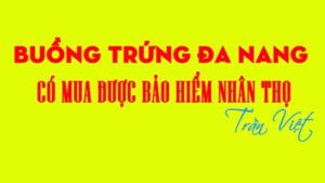 buồng-trứng-đa-nang-có-mua-được-bảo-hiểm-nhân-thọ