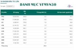 danh-muc-vfmvn30